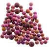 Image for T33157