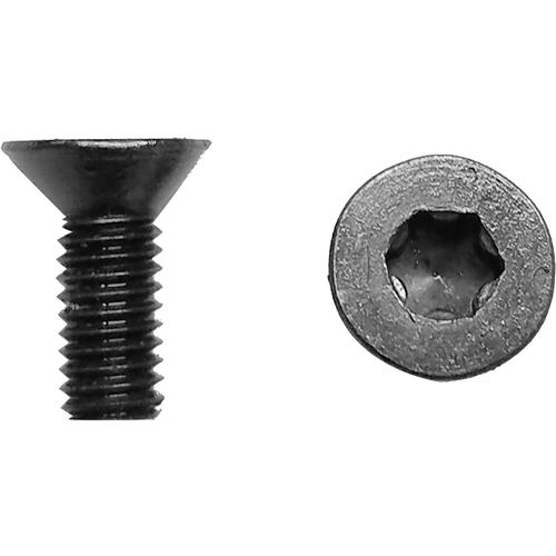 Image for Byrd Tool T32060 - Byrd Shelix 10-32 x 1/2" Long Torx Plus Screw, 10 Pk.
